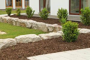 Healthy green lawn over leach field