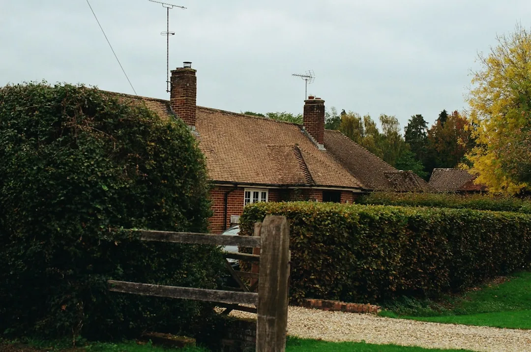 How to fix potholes in gravel driveways — Drivewayz USA