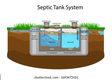 Septic system diagram showing house cross-section with underground pipes and tank